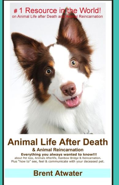 Cover for Brent Atwater · Animal Life After Death &amp; Animal Reincarnation: Pet Loss Answers for All Your Heart's Questions! (Paperback Book) (2014)
