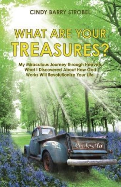 Cover for Cindy Barry Strobel · What Are Your Treasures? (Paperback Book) (2015)