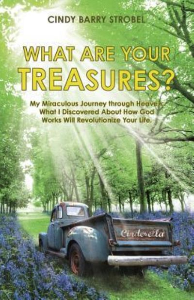 Cindy Barry Strobel · What Are Your Treasures? (Paperback Book) (2015)