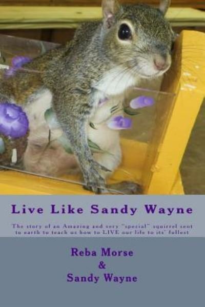Cover for Reba Jo Morse · Live Like Sandy Wayne (Pocketbok) (2016)