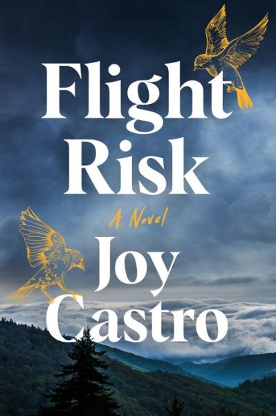 Cover for Joy Castro · Flight Risk: A Novel (Paperback Book) (2021)