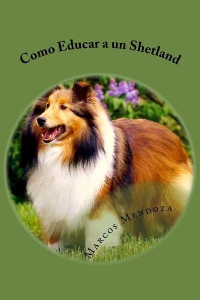 Cover for Marcos Mendoza · Como Educar a un Shetland (Pocketbok) (2017)