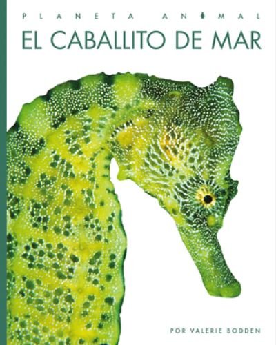 Cover for Valerie Bodden · Caballito de Mar (Bog) (2023)