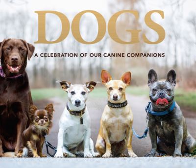 Cover for Publications International Ltd · Dogs (Hardcover Book) (2019)