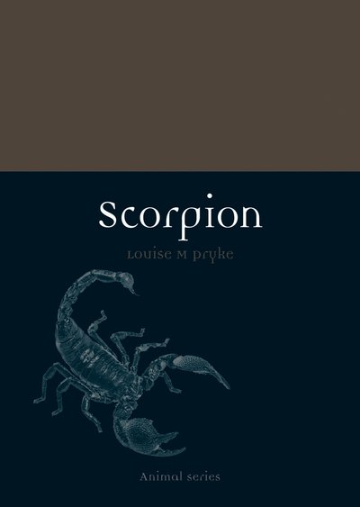 Cover for Louise M. Pryke · Scorpion - Animal (Paperback Book) (2016)
