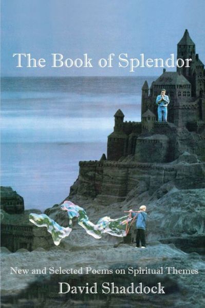 Cover for David Shaddock · The Book of Splendor (Paperback Book) (2019)