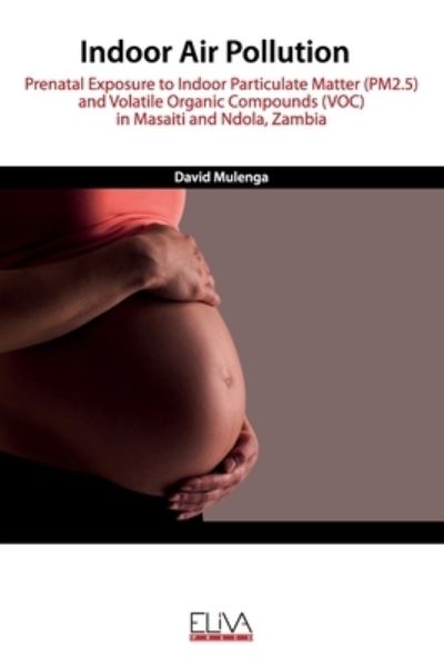 Cover for David Mulenga · Indoor Air Pollution (Paperback Book) (2020)