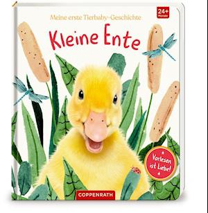 Cover for Amanda Wood · Meine erste Tierbaby-Geschichte: Kleine Ente (Board book) (2021)