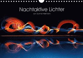 Cover for Heilmann · Nachtaktive Lichter (Wandkalen (Book)