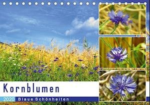 Kornblumen - Blaue Schönheiten (T - Löwer - Libros -  - 9783670950929 - 