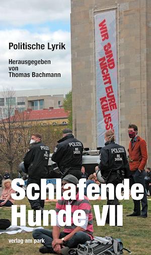 Cover for Thomas Bachmann · Schlafende Hunde VII (Paperback Book) (2022)