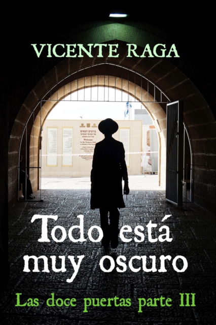 Cover for Vicente Raga · Todo esta muy oscuro (Paperback Book) (2019)