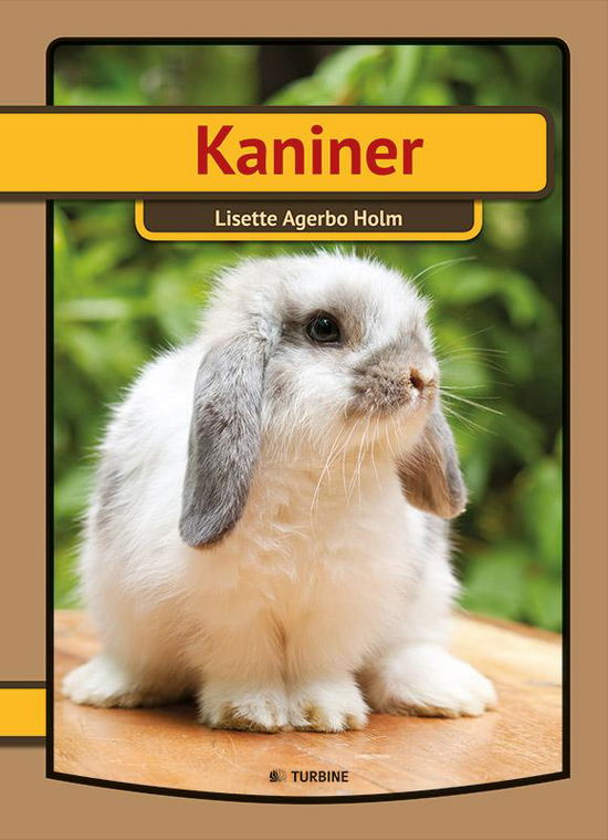 Min første bog: Kaniner - Lisette Agerbo Holm - Livres - Turbine - 9788740609929 - 21 juin 2016