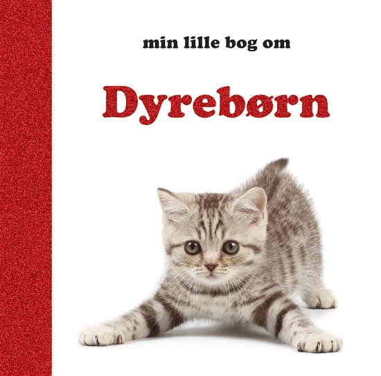 Cover for Globe · Min lille bog om: Dyrebørn (Cardboard Book) [1º edição] (2011)