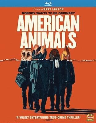 Cover for American Animals (Blu-ray) (2018)