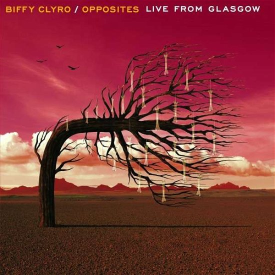 Cover for Biffy Clyro · Opposites-live From Glasgow (CD) (2013)
