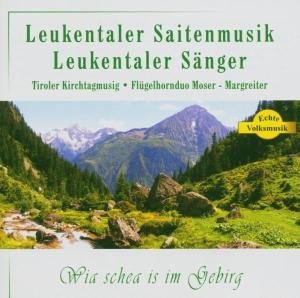 Cover for Leukentaler Saitenmusik &amp; Leukentaler Sänger · Wia Schea is Im Gebirg (CD) (2005)