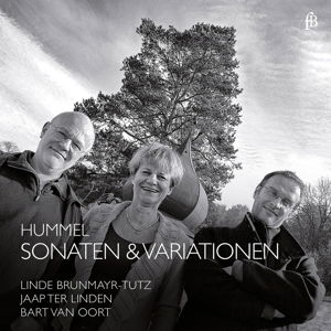 Sonaten Und Variationen - J.N. Hummel - Musik - FRA BERNARDO - 4260307437930 - 13. maj 2015
