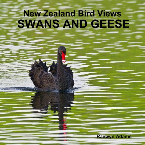 Cover for Raewyn Adams · New Zealand Bird Views : Swans and Geese (Paperback Book) (2013)