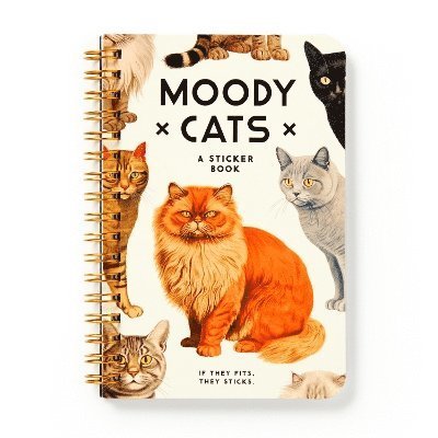 Moody Cats Sticker Book - Brass Monkey - Kirjat - Galison - 9780735382930 - torstai 29. elokuuta 2024