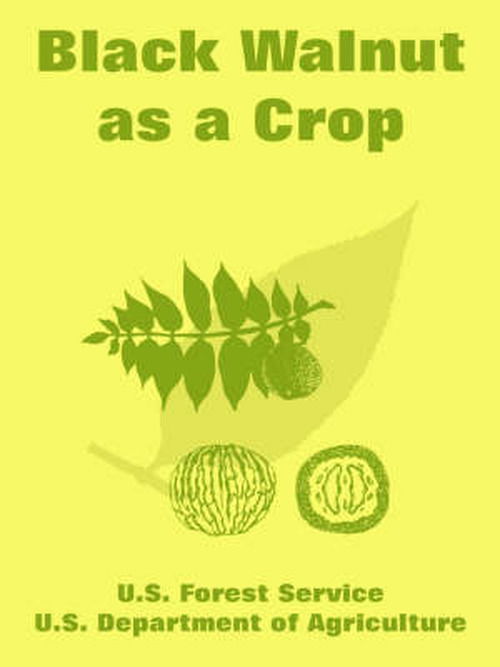 Cover for U S Forest Service · Black Walnut as a Crop (Taschenbuch) (2005)