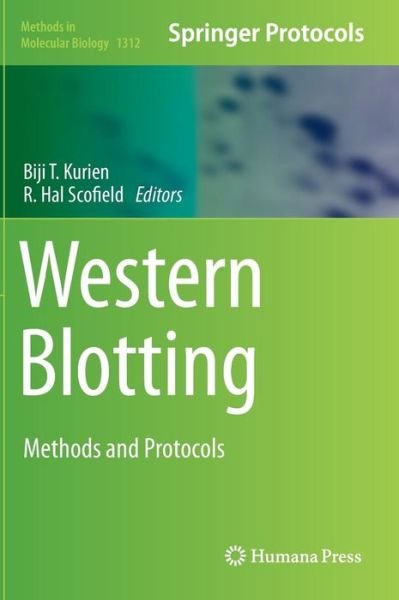 Cover for Biji T Kurien · Western Blotting: Methods and Protocols - Methods in Molecular Biology (Hardcover Book) [2015 edition] (2015)