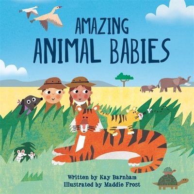 Cover for Kay Barnham · Look and Wonder: Amazing Animal Babies - Look and Wonder (Paperback Bog) (2020)