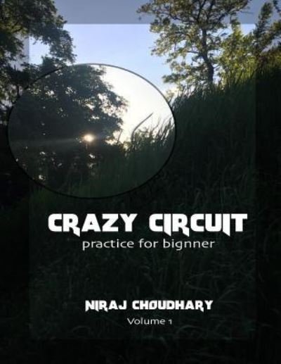 Cover for Niraj Dnyaneshwar Choudhari · Crazy circuits (Paperback Bog) (2016)