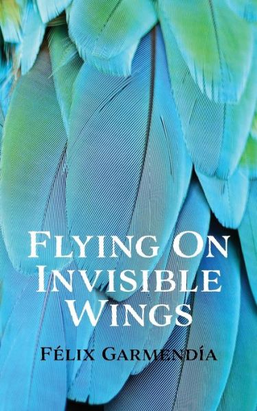 Cover for Félix Garmendía · Flying On Invisible Wings (Paperback Book) (2019)