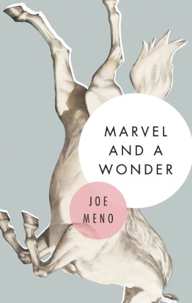 Cover for Joe Meno · Marvel and a Wonder (Hardcover Book) (2015)