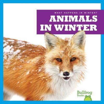 Cover for Jennifer Fretland VanVoorst · Animals in Winter (Hardcover Book) (2016)