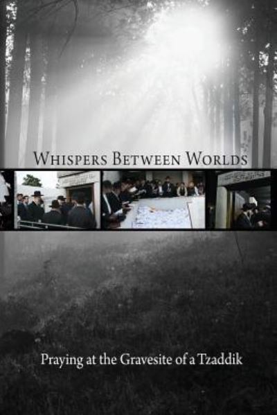 Cover for Eliyahu Touger · Whispers Between Worlds (Paperback Book) (2009)