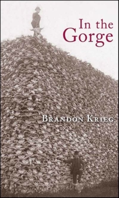 Cover for Brandon Krieg · In the Gorge (Pocketbok) (2017)