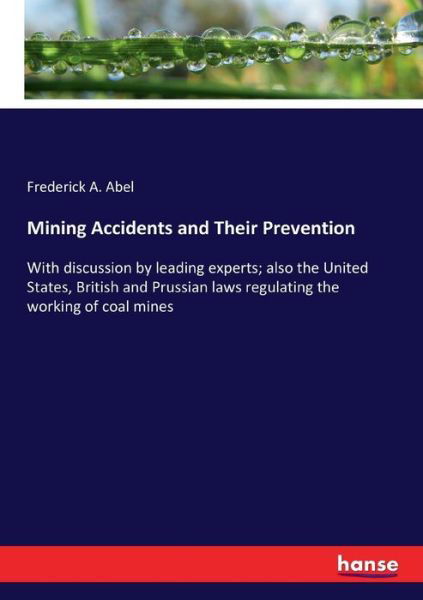 Cover for Abel · Mining Accidents and Their Prevent (Book) (2017)