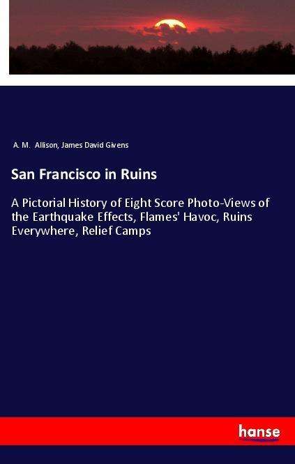 Cover for Allison · San Francisco in Ruins (Book)