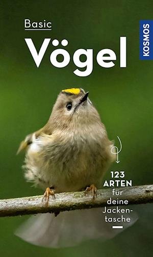 Cover for Volker Dierschke · BASIC Vögel (Bog) (2022)