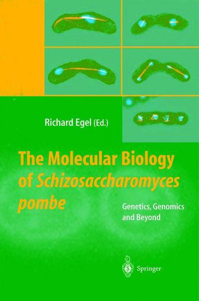 Cover for The Molecular Biology of Schizosaccharomyces pombe: Genetics, Genomics and Beyond (Hardcover Book) [2004 edition] (2003)