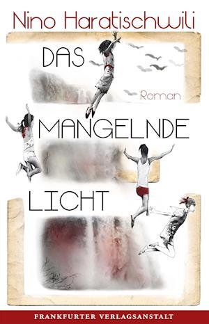 Cover for Nino Haratischwili · Das mangelnde Licht (Gebundenes Buch) (2022)