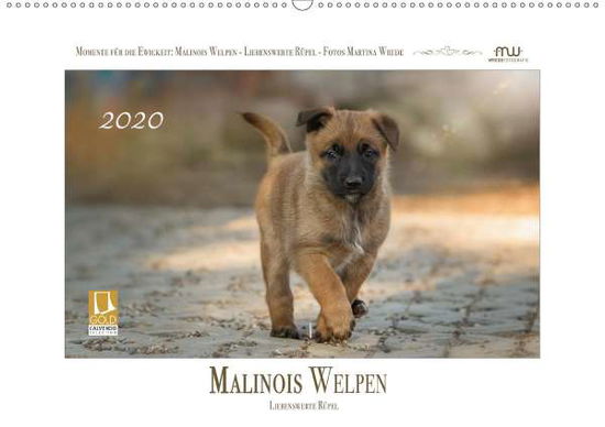 Cover for Wrede · Malinois Welpen - Liebenswerte Rü (Book)