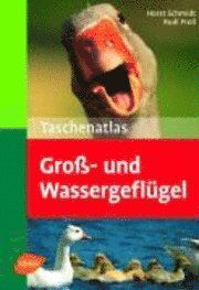 Cover for Horst Schmidt · Taschenatlas Groß- und Wassergeflügel (Pocketbok) (2008)
