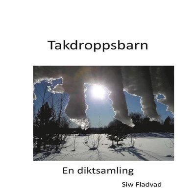 Cover for Takdroppsbarn (Book) (2023)