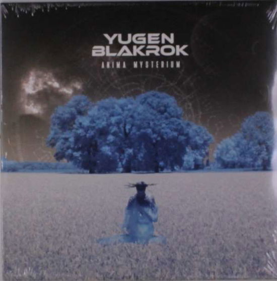 Cover for Yugen Blakrok · Amina Mysterium (LP) (2022)