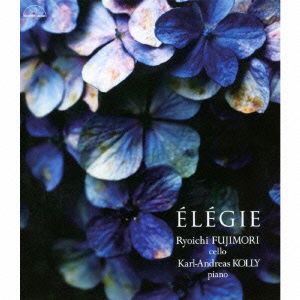 Cover for Fujimori Ryoichi · Elegie (CD) [Japan Import edition] (2009)