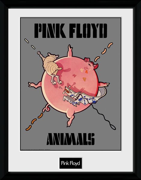 Pink Floyd: Animals (Stampa In Cornice 30x40cm) - Pink Floyd - Merchandise -  - 5028486383931 - 