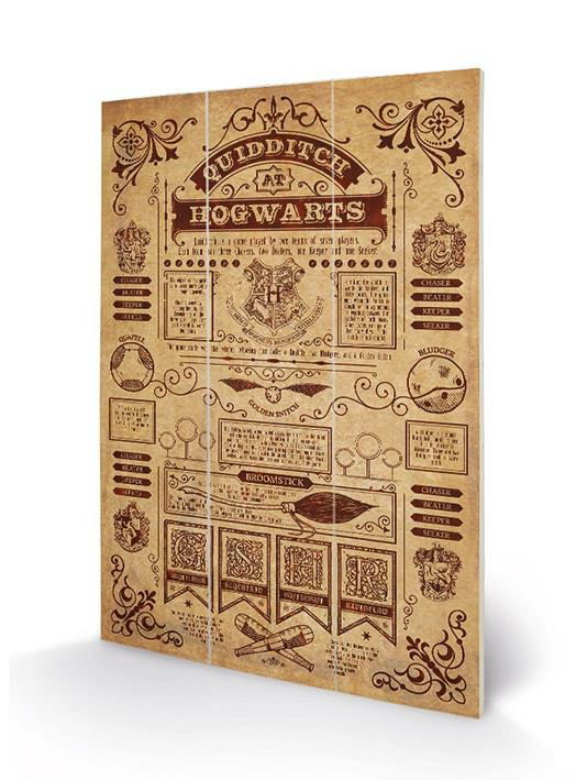 Cover for Wood Poster · HARRY POTTER - Wood Print 20x29.5 - Quidditch at H (MERCH) (2019)