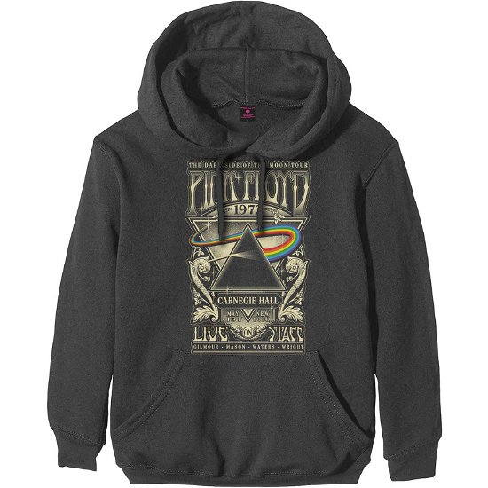 Cover for Pink Floyd · Pink Floyd Unisex Pullover Hoodie: Carnegie Hall Poster (Hoodie) [size XS]