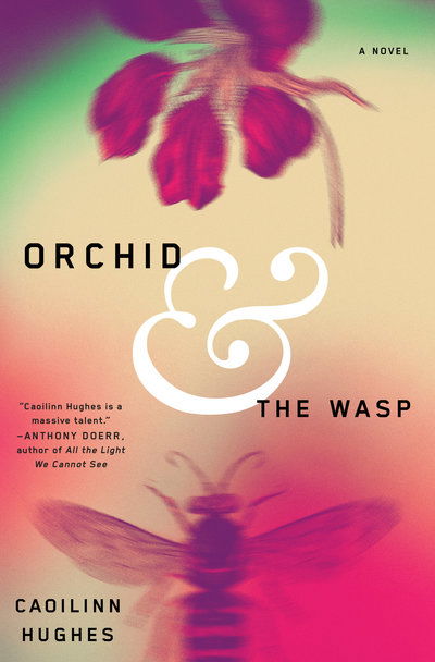 Cover for Hughes · Orchid and the Wasp (Book) (2018)