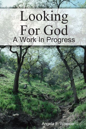 Cover for Angela Wheeler · Looking for God (Paperback Book) (2010)
