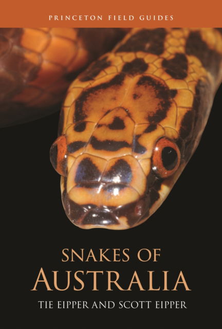 Cover for Tie Eipper · Snakes of Australia (Hardcover Book) (2025)