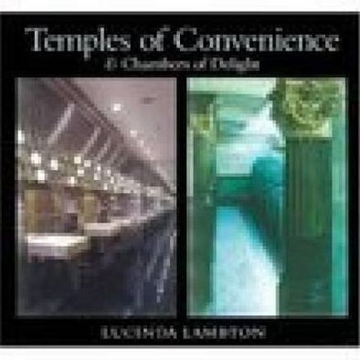 Cover for Lucinda Lambton · Temples of Convenience and Chambers of Delight (Hardcover Book) (2002)